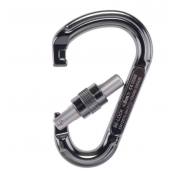 Karabinek Be Lock Screw Lock Beal titanum