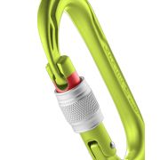 Karabinek Oval Power 2500 screw Edelrid oasis