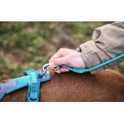 Smycz Trekking rope leash Non-stop teal 2,8m/8mm