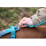 Smycz Trekking rope leash Non-stop teal 1,2m/8mm