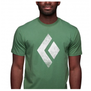 Koszulka Chalked Up SS BD arbor green