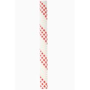 Lina statyczna Edelweiss BUD 10.5 mm WYPRZEDAŻ 17 mb