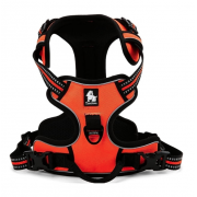 Szelki dla psa easy walk Front Line pomarańczowe Truelove