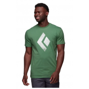 Koszulka Chalked Up SS BD arbor green