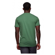 Koszulka Chalked Up SS BD arbor green