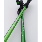 Kije trekkingowe Escalada fern light green