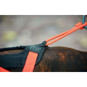 Uprząż Rush harness Non-stop (rozmiar 5) teal