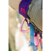 Karabinek HMS Be Safe Beal matt pink