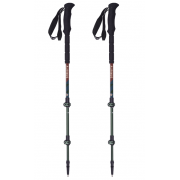 Kije trekkingowe Matterhorn Alpinus zielon-brązowe