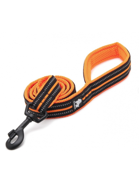 Smycz dla psa Active 200 cm, L - 2.5 cm, pomarańczowy Truelove