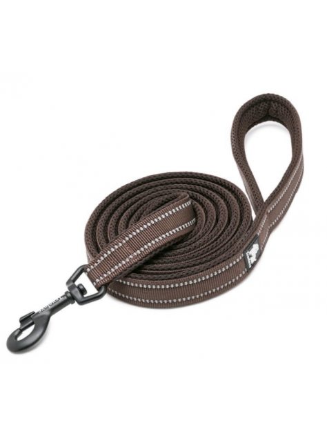 Smycz dla psa Active 200 cm, L - 2.5 cm, brązowy Truelove