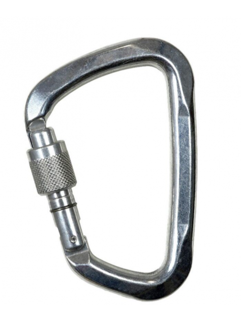 Karabinek Large SG srebrny CT