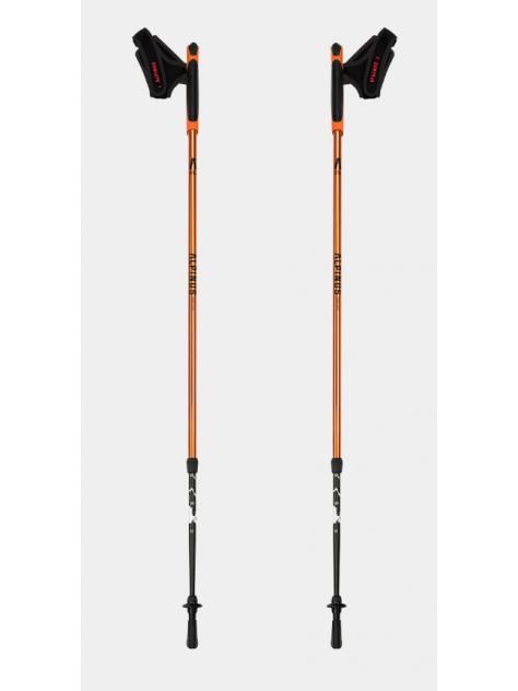 Kijki nordic walking Alpinus Kungsleden pomarańczowe