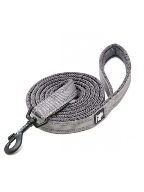 Smycz dla psa Active 200 cm, M - 2 cm, szary Truelove