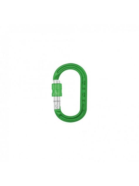 Karabinek XSRE Lock DMM green