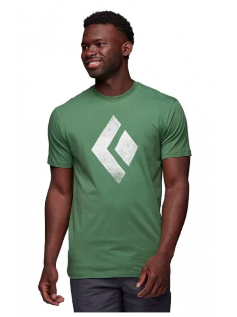 Koszulka Chalked Up SS BD arbor green