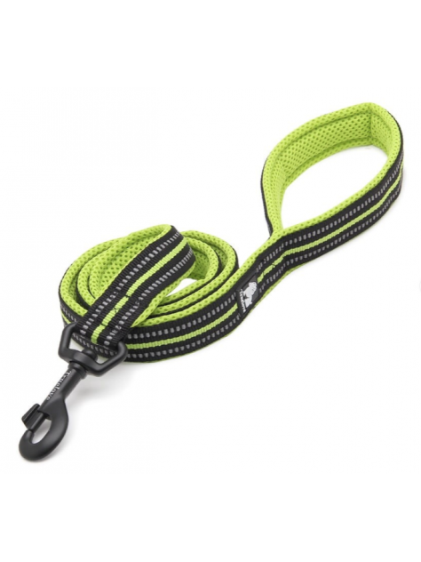 Smycz dla psa Active 200 cm, L - 2.5 cm, limonkowy Truelove