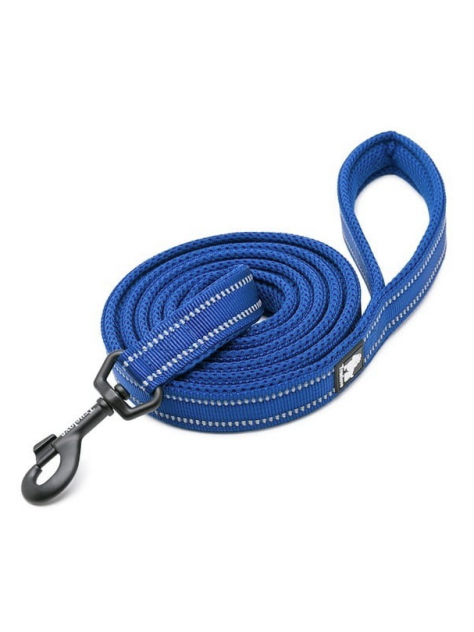 Smycz dla psa Active 200 cm, L - 2.5 cm, niebieski Truelove