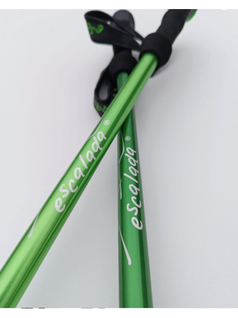 Kije trekkingowe Escalada fern light green