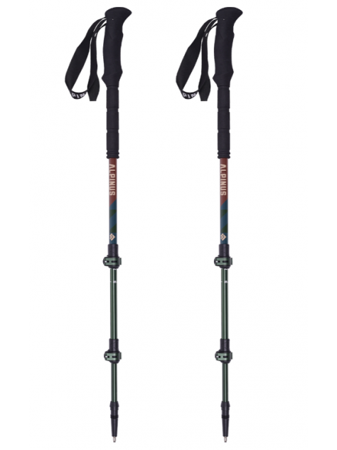 Kije trekkingowe Matterhorn Alpinus zielon-brązowe